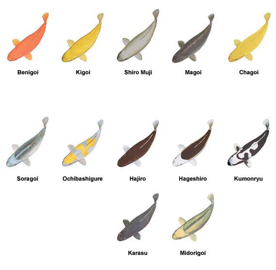 11-kawarimono.jpg 11-kawarimono.jpg