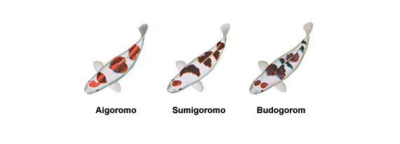 13-koromo.jpg 13-koromo.jpg